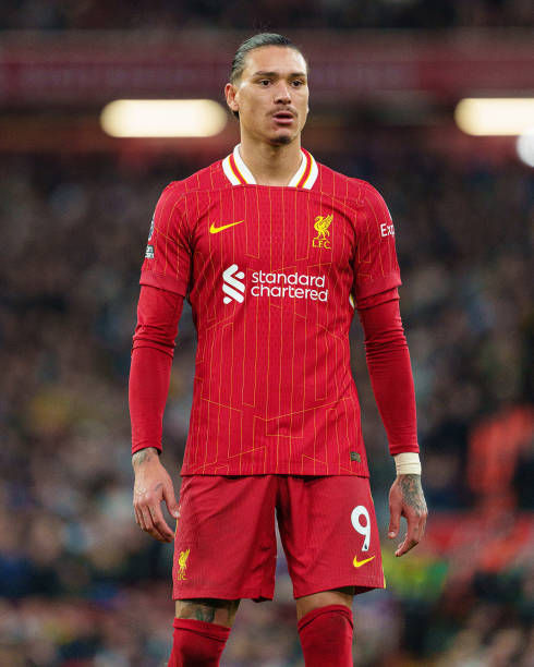 滑雪场地的 滑雪场地的